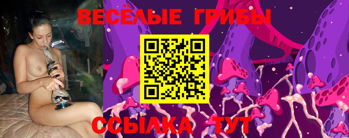 Азнакаево  Псилоцибиновые грибы Psilocybe  Вход с VPN 